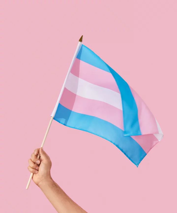 lgbtq